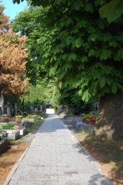 Obrázek galerie nový chodník