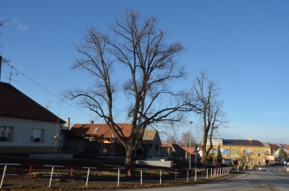 Obrázek galerie Mírové náměstí