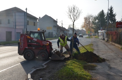 Obrázek galerie Alej v Mělnické