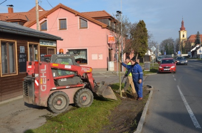 Obrázek galerie Alej v Mělnické