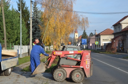 Obrázek galerie Alej v Mělnické