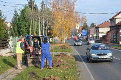 Obrázek galerie Alej v Mělnické