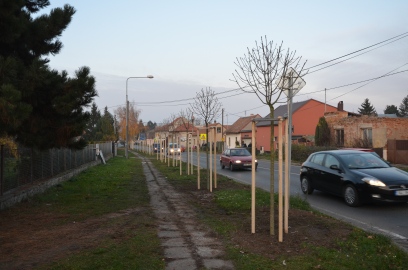 Obrázek galerie Alej v Mělnické