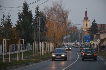 Obrázek galerie Alej v Mělnické