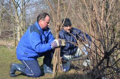 Obrázek galerie Uklidíme si Mratínku