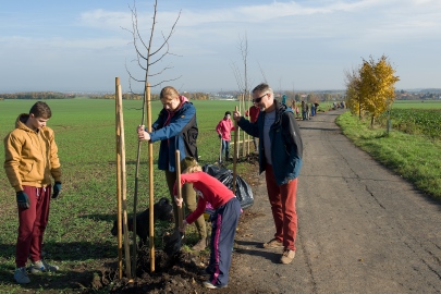 Sázení líp 2014