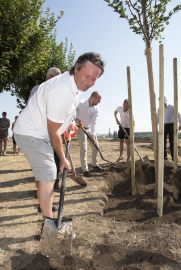 Začala stavba školy - sázení lípy