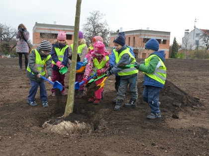 Ilustrační obrázek Založení parku