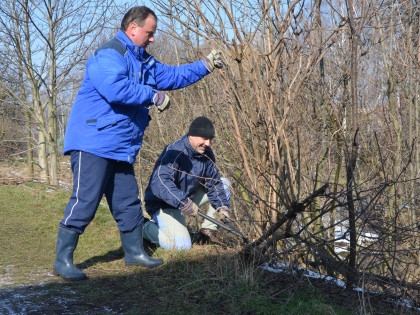 Ilustrační obrázek do seznamu nebo pro pouták