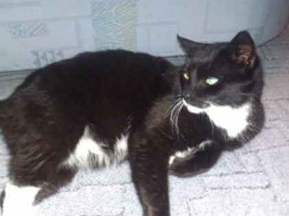 Ilustrační obrázek do seznamu nebo pro pouták