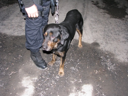 Ilustrační obrázek do seznamu nebo pro pouták