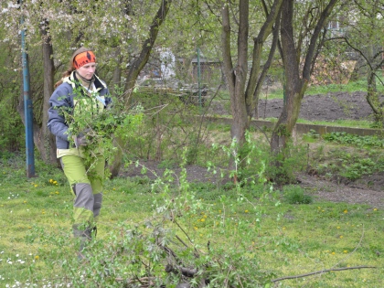 Ilustrační obrázek do seznamu nebo pro pouták