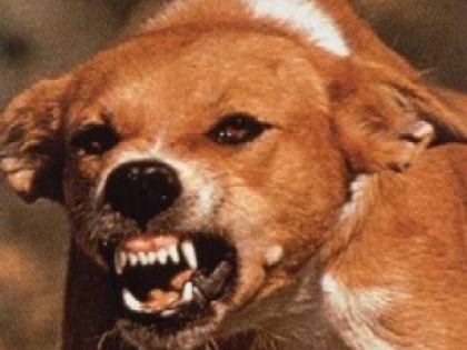 Ilustrační obrázek do seznamu nebo pro pouták