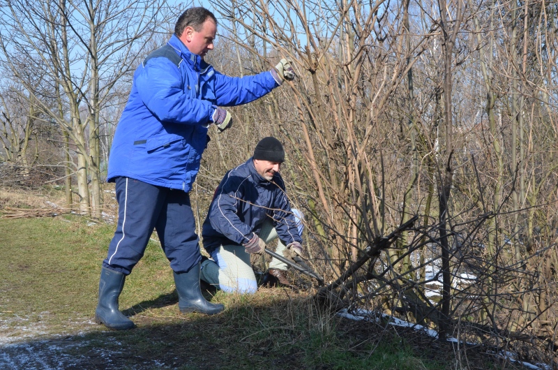 Ilustrační obrázek do seznamu nebo pro pouták