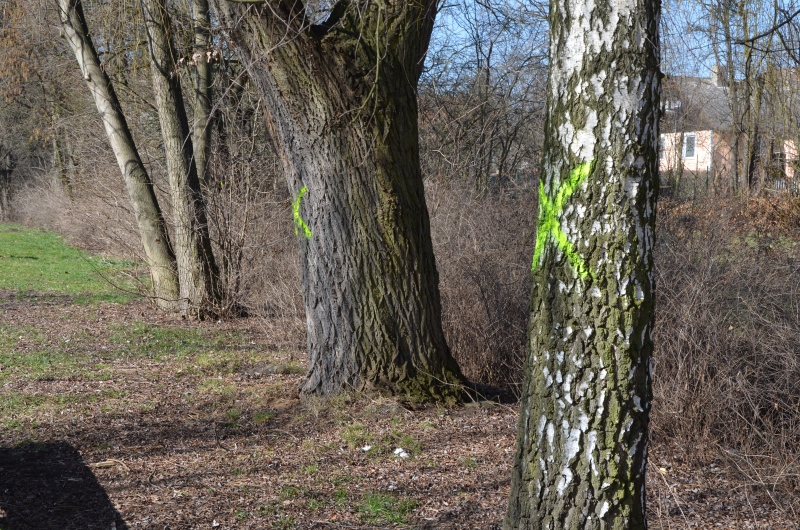 Ilustrační obrázek do seznamu nebo pro pouták