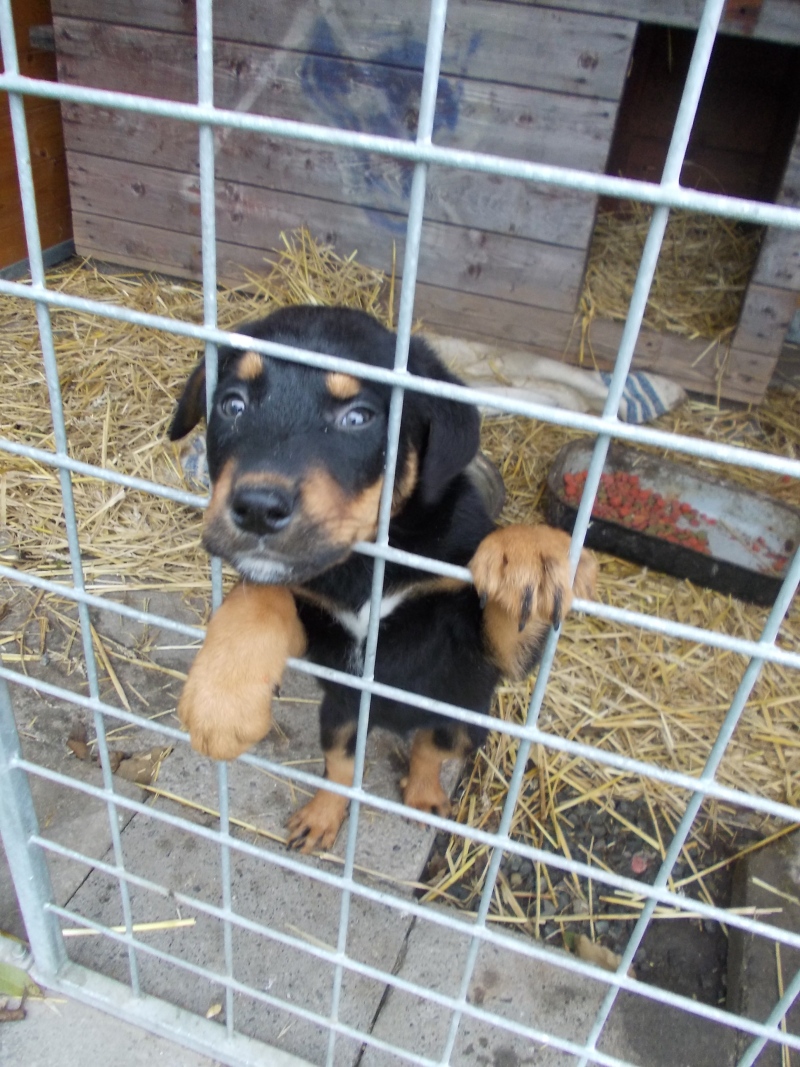 Ilustrační obrázek do seznamu nebo pro pouták