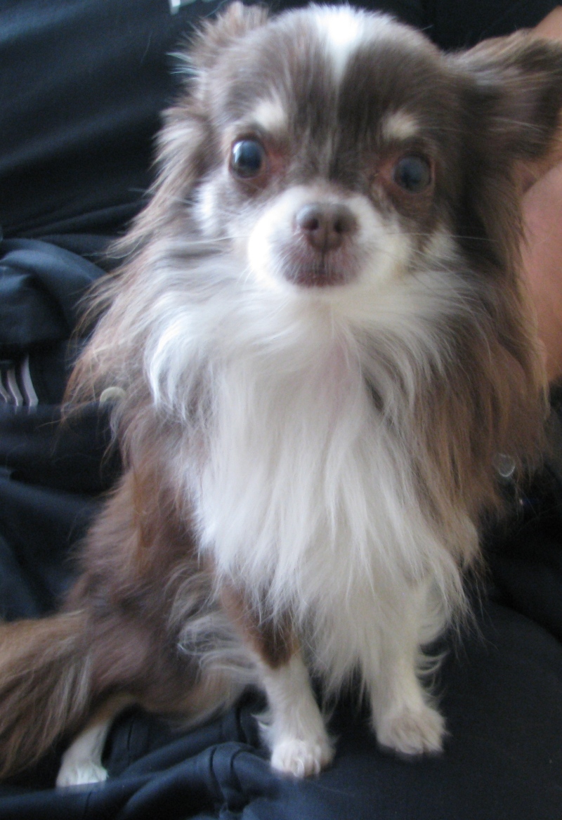 Ilustrační obrázek do seznamu nebo pro pouták